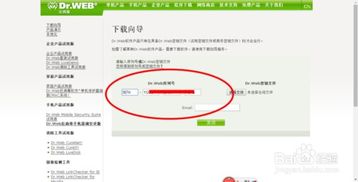 百度蜘蛛池效果:蜘蛛池百度小程序，助力内容创作者的智能流量聚合平台