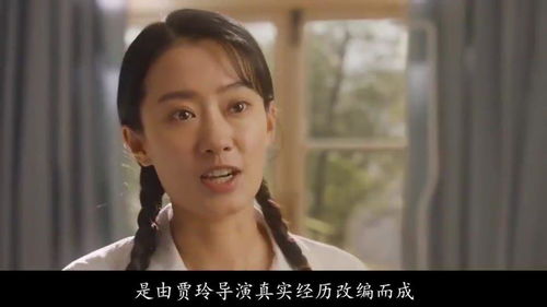百度蜘蛛池收录:蜘蛛池演员阵容大揭秘，实力派演员齐聚一堂，共筑精彩剧作