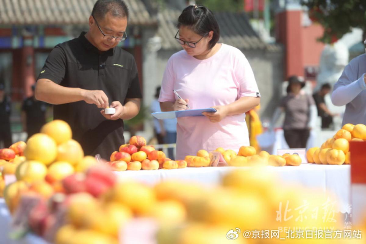 平谷网站制作费用多少? 平谷网站制作费用多少