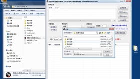 百度蜘蛛池收录:蜘蛛池中的面包虫保存技巧，延长生命周期，确保繁衍无忧