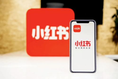 百度蜘蛛池价格:陈默外推蜘蛛池，揭秘网络营销新利器