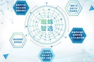 百度蜘蛛池引流:蜘蛛矿池链接无法打开，原因排查与解决方案详解