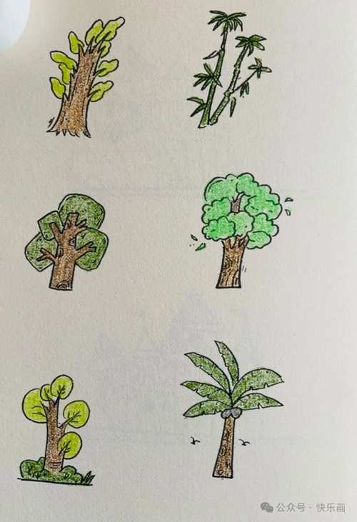 小树的周长是多少? 小树的周长是多少