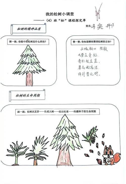 小树的周长是多少? 小树的周长是多少