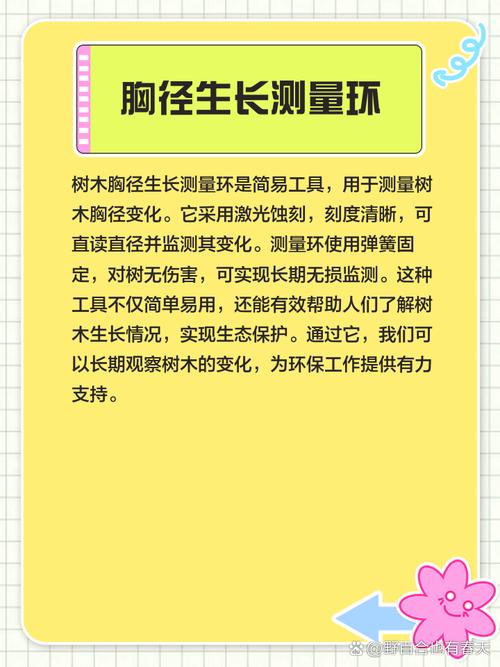小树的周长是多少? 小树的周长是多少
