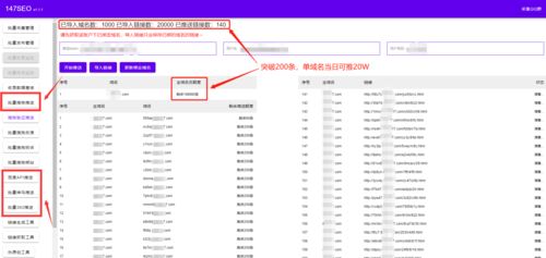 百度蜘蛛池引流:蜘蛛池域名投放策略，如何精准投放，提高搜索引擎收录效果