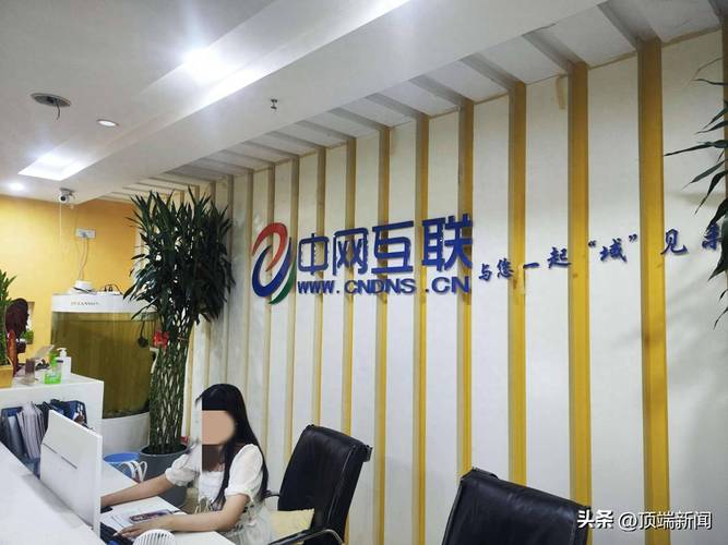 十年变迁,中文域名价值几何? 十年中文域名值多少钱
