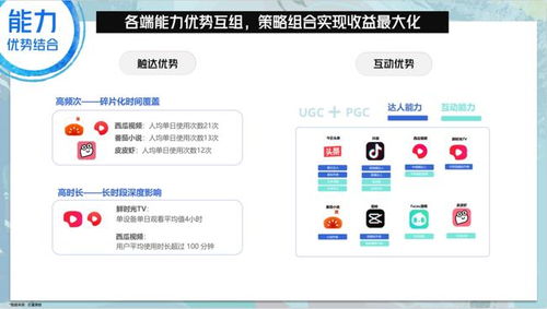 百度蜘蛛池租用:山西蜘蛛池租用包月，助力企业网络营销新选择