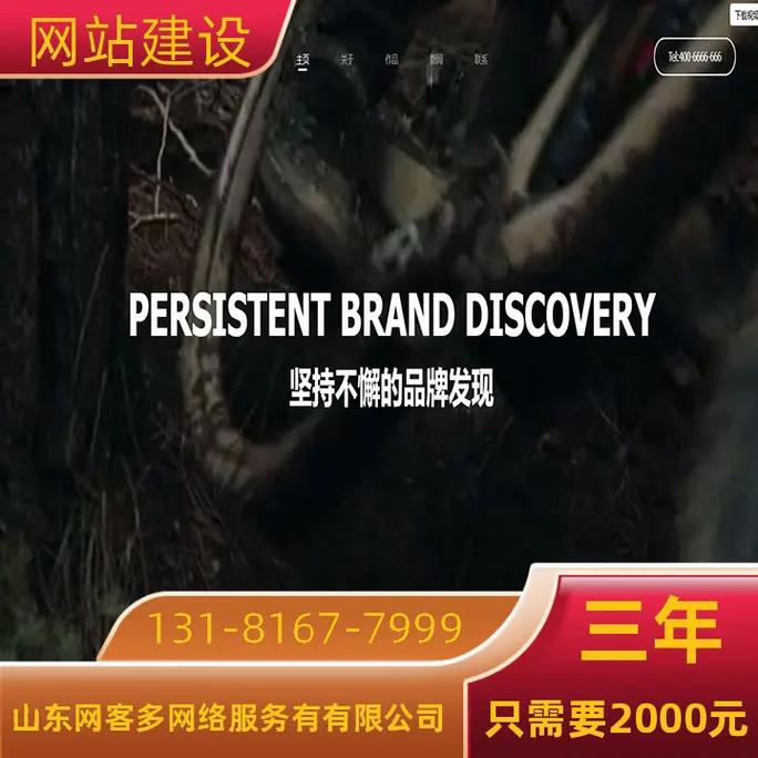 做一个网站一年要多少钱