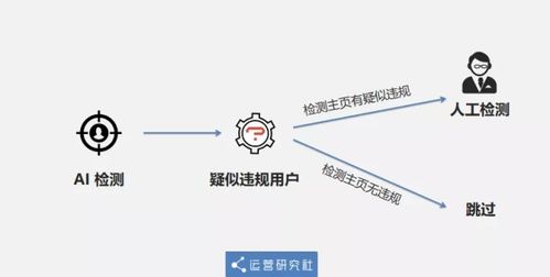 百度蜘蛛池引流:蜘蛛池连接思路，构建高效网络信息获取的桥梁