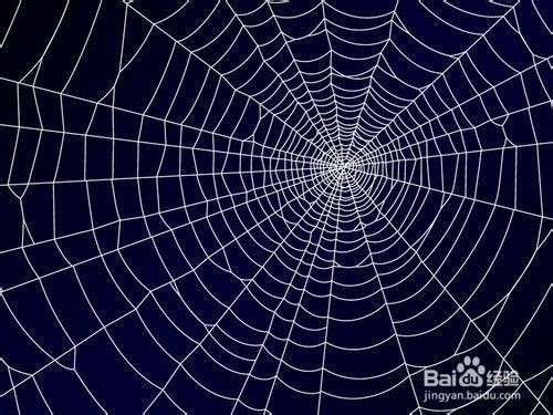 百度蜘蛛池出租:搭建蜘蛛池违法吗？揭秘网络爬虫的灰色地带