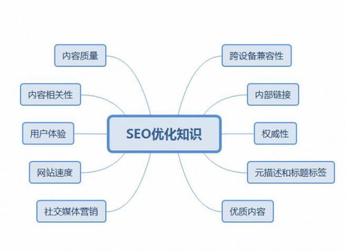 百度蜘蛛池效果:大佬SEO策略揭秘，蜘蛛池在搜索引擎优化中的应用与挑战