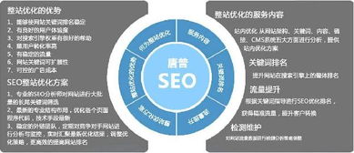 百度蜘蛛池出租:SEO蜘蛛池设置灰词排名,策略与技巧详解 百度蜘蛛池出租:SEO蜘蛛池设置灰词排名,策略与技巧详解