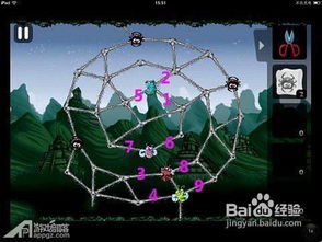 百度蜘蛛池优化:深入解析蜘蛛池搭建工具图，助力网络爬虫高效运行